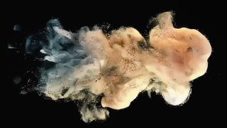 Toshiba Entwicklerpulver D5070 500g für e-STUDIO